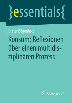 Bögenhold, Dieter - Konsum: Reflexionen über einen multidisziplinären Prozess, ebook