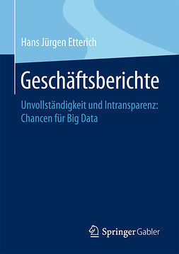 Etterich, Hans Jürgen - Geschäftsberichte, e-bok