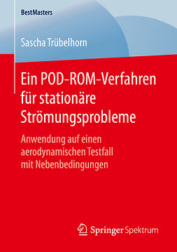 Trübelhorn, Sascha - Ein POD-ROM-Verfahren für stationäre Strömungsprobleme, e-bok
