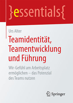 Alter, Urs - Teamidentität, Teamentwicklung und Führung, e-kirja