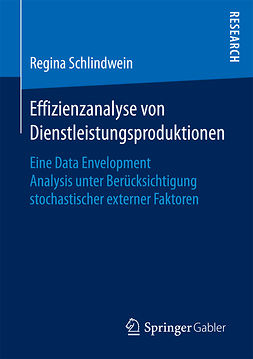 Schlindwein, Regina - Effizienzanalyse von Dienstleistungsproduktionen, ebook