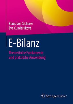 Sicherer, Klaus von - E-Bilanz, ebook