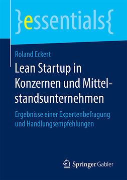 Eckert, Roland - Lean Startup in Konzernen und Mittelstandsunternehmen, ebook