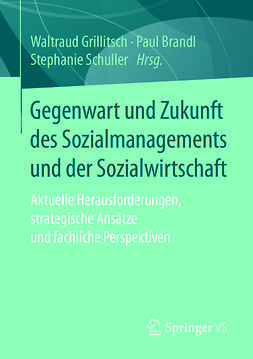 Brandl, Paul - Gegenwart und Zukunft des Sozialmanagements und der Sozialwirtschaft, e-bok