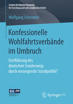 Schroeder, Wolfgang - Konfessionelle Wohlfahrtsverbände im Umbruch, ebook
