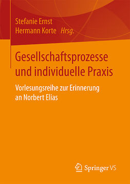Ernst, Stefanie - Gesellschaftsprozesse und individuelle Praxis, ebook