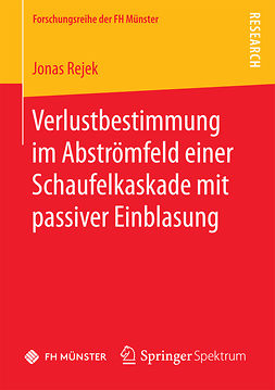 Rejek, Jonas - Verlustbestimmung im Abströmfeld einer Schaufelkaskade mit passiver Einblasung, ebook