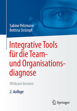 Pelzmann, Sabine - Integrative Tools für die Team- und Organisationsdiagnose, ebook