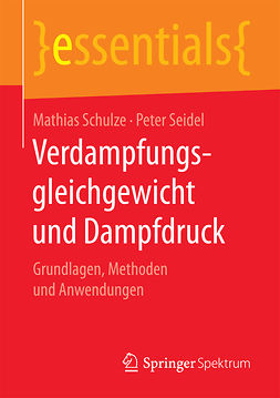 Schulze, Mathias - Verdampfungsgleichgewicht und Dampfdruck, e-bok