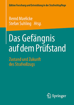 Maelicke, Bernd - Das Gefängnis auf dem Prüfstand, e-kirja