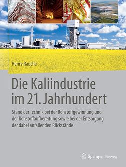 Rauche, Henry - Die Kaliindustrie im 21. Jahrhundert, ebook