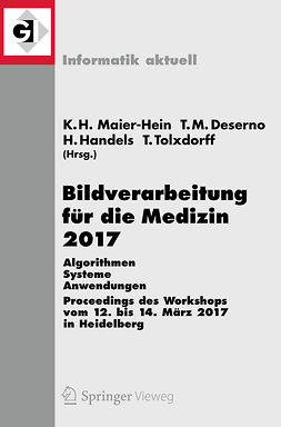 Fritzsche, Klaus Hermann Maier-Hein, geb. - Bildverarbeitung für die Medizin 2017, ebook