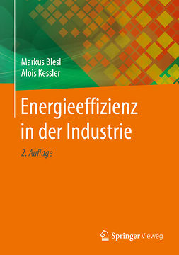 Blesl, Markus - Energieeffizienz in der Industrie, ebook
