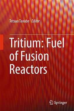 Tanabe, Tetsuo - Tritium: Fuel of Fusion Reactors, e-bok