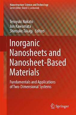 Kawamata, Jun - Inorganic Nanosheets and Nanosheet-Based Materials, e-bok