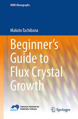 Tachibana, Makoto - Beginner’s Guide to Flux Crystal Growth, e-kirja