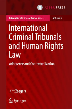 Zeegers, Krit - International Criminal Tribunals and Human Rights Law, ebook