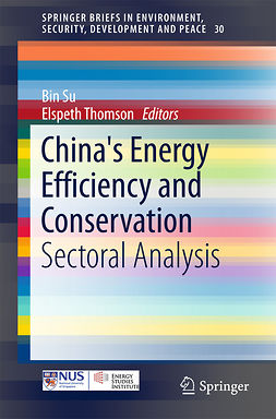 Su, Bin - China's Energy Efficiency and Conservation, e-kirja