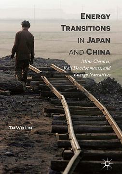 Lim, Tai Wei - Energy Transitions in Japan and China, e-bok