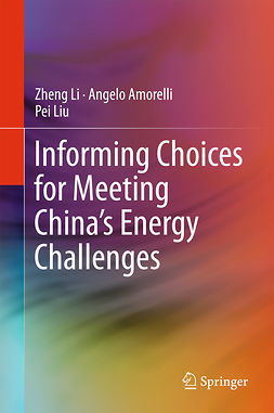 Amorelli, Angelo - Informing Choices for Meeting China’s Energy Challenges, ebook
