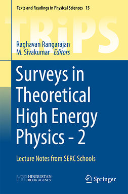 Rangarajan, Raghavan - Surveys in Theoretical High Energy Physics - 2, e-bok