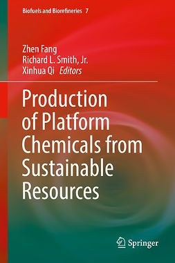 Fang, Zhen - Production of Platform Chemicals from Sustainable Resources, e-bok