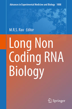 Rao, M.R.S. - Long Non Coding RNA Biology, e-bok