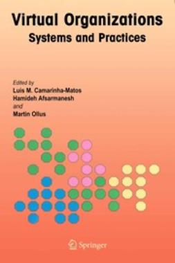 Afsarmanesh, Hamideh - Virtual Organizations, ebook