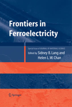 Chan, Helen L. W. - Frontiers of Ferroelectricity, ebook