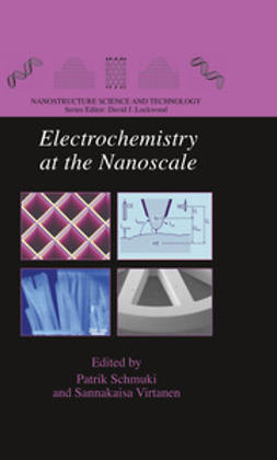 Schmuki, Patrik - Electrochemistry at the Nanoscale, e-kirja