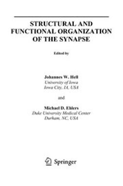 Hell, Johannes W. - Structural And Functional Organization Of The Synapse, ebook