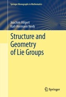 Hilgert, Joachim - Structure and Geometry of Lie Groups, e-bok