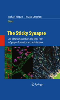 Umemori, Hisashi - The Sticky Synapse, ebook