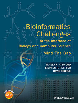 Attwood, Teresa K. - Bioinformatics Challenges at the Interface of Biology and Computer Science: Mind the Gap, e-kirja