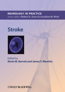 Barrett, Kevin M. - Stroke, ebook