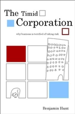 Hunt, Benjamin - The Timid Corporation: Why Business is Terrified of Taking Risk, e-bok