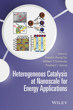 Kamat, Prashant V. - Heterogeneous Catalysis at Nanoscale for Energy Applications, e-kirja