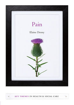Denny, Elaine - Pain: A Sociological Introduction, ebook