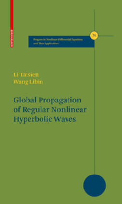 Tatsien, Li - Global Propagation of Regular Nonlinear Hyperbolic Waves, e-kirja