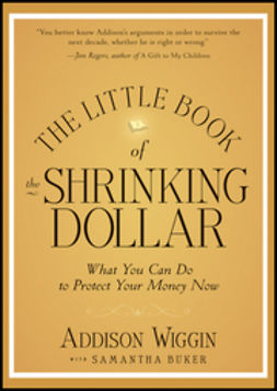 Wiggin, Addison - The Little Book of the Shrinking Dollar: What You Can Do to Protect Your Money Now, e-bok