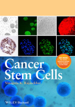 Rajasekhar, V.K. - Cancer Stem Cells, ebook