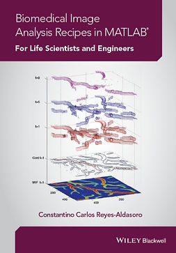 Reyes-Aldasoro, Constantino Carlos - Biomedical Image Analysis Recipes in MATLAB: For Life Scientists and Engineers, e-bok