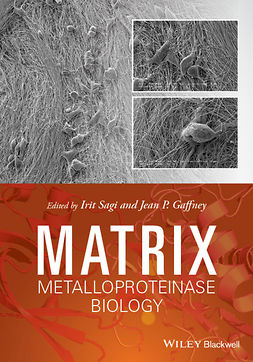 Gaffney, Jean - Matrix Metalloproteinase Biology, ebook