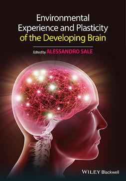 Sale, Alessandro - Environmental Experience and Plasticity of the Developing Brain, ebook