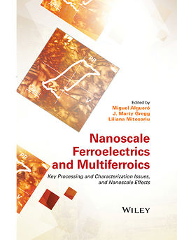 Alguero, Miguel - Nanoscale Ferroelectrics and Multiferroics: Key Processing and Characterization Issues, and Nanoscale Effects, 2 Volumes, ebook