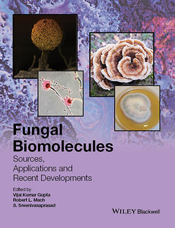 Gupta, Vijai Kumar - Fungal Biomolecules: Sources, Applications and Recent Developments, e-kirja