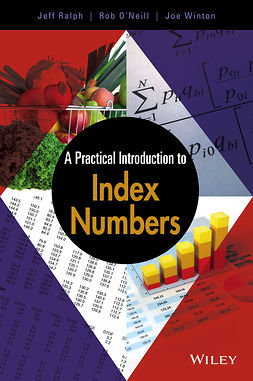 O'Neill, Rob - A Practical Introduction to Index Numbers, ebook