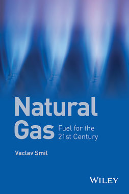 Smil, Vaclav - Natural Gas: Fuel for the 21st Century, e-kirja