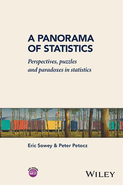 Petocz, Peter - A Panorama of Statistics: Perspectives, Puzzles and Paradoxes in Statistics, ebook