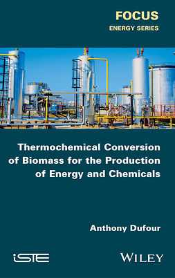 Dufour, Anthony - Thermochemical Conversion of Biomass for the Production of Energy and Chemicals, e-kirja